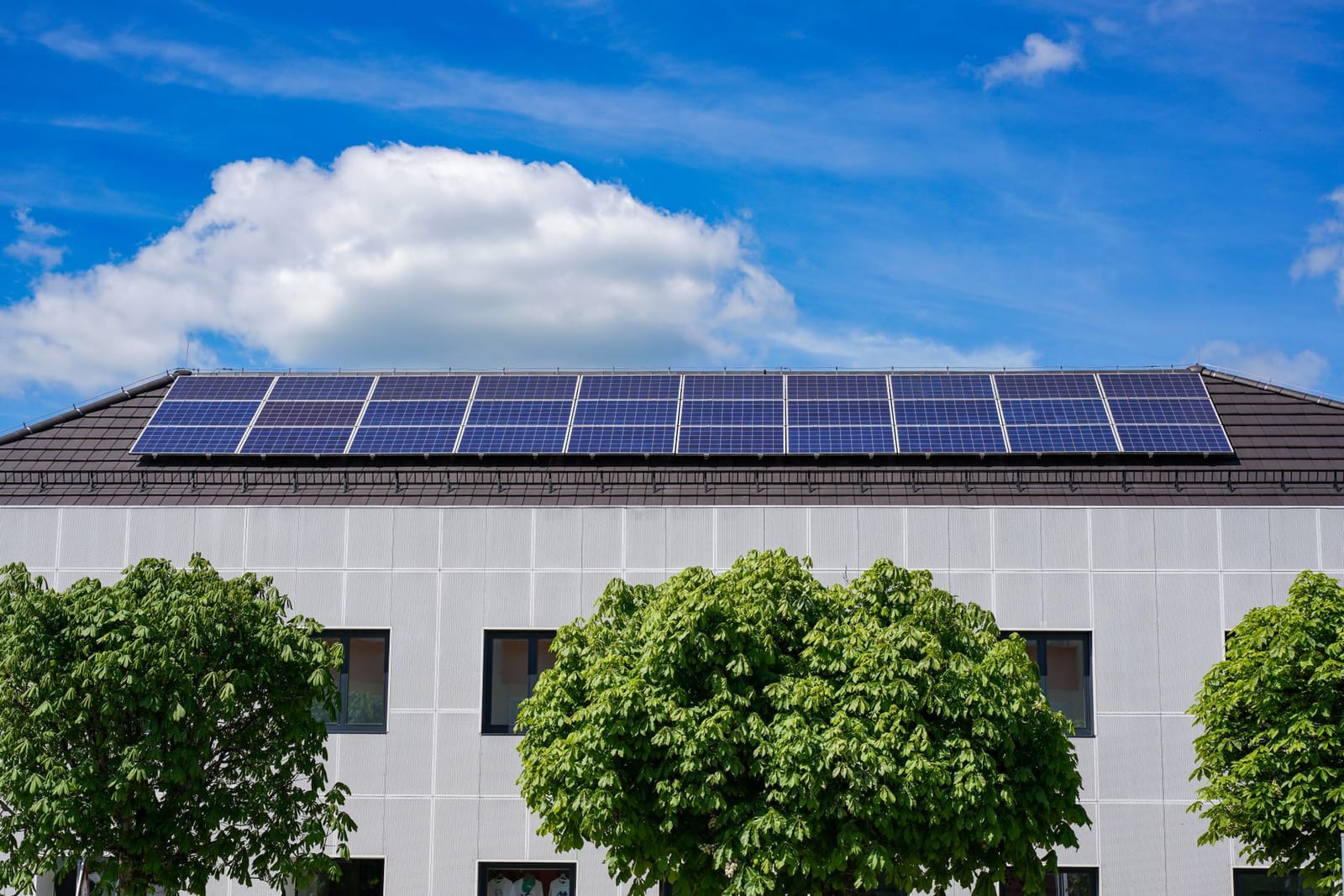 Finance director reviewing commercial solar funding options